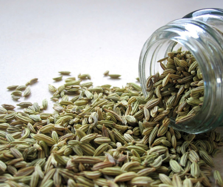 Fenchel | indische Gewürze | indisch kochen