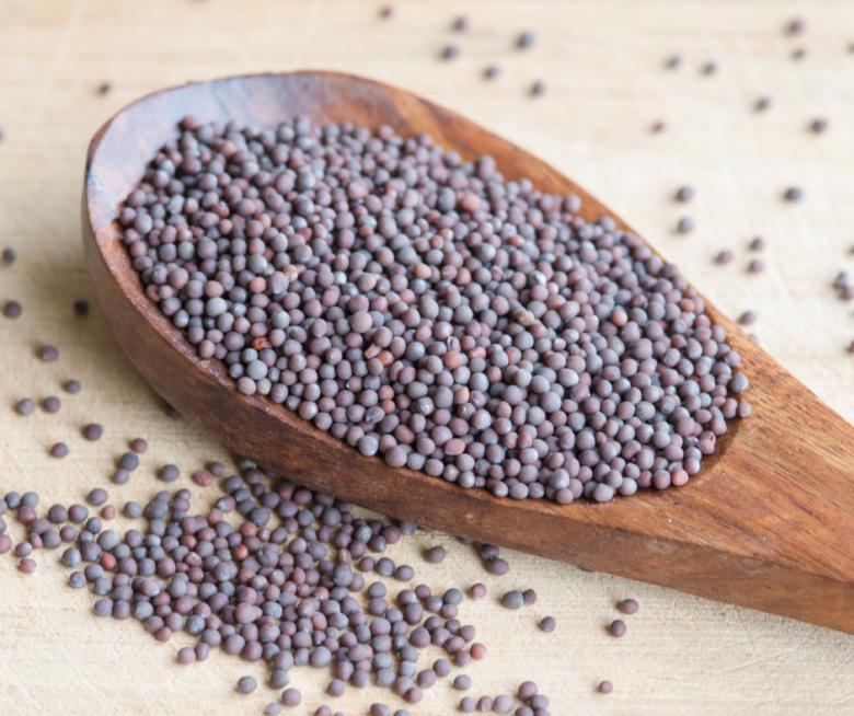 Schwarze Senfsamen | indische Gewürze | indisch kochen