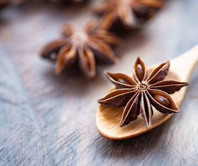 Sternanis | indische Gewürze | indisch kochen