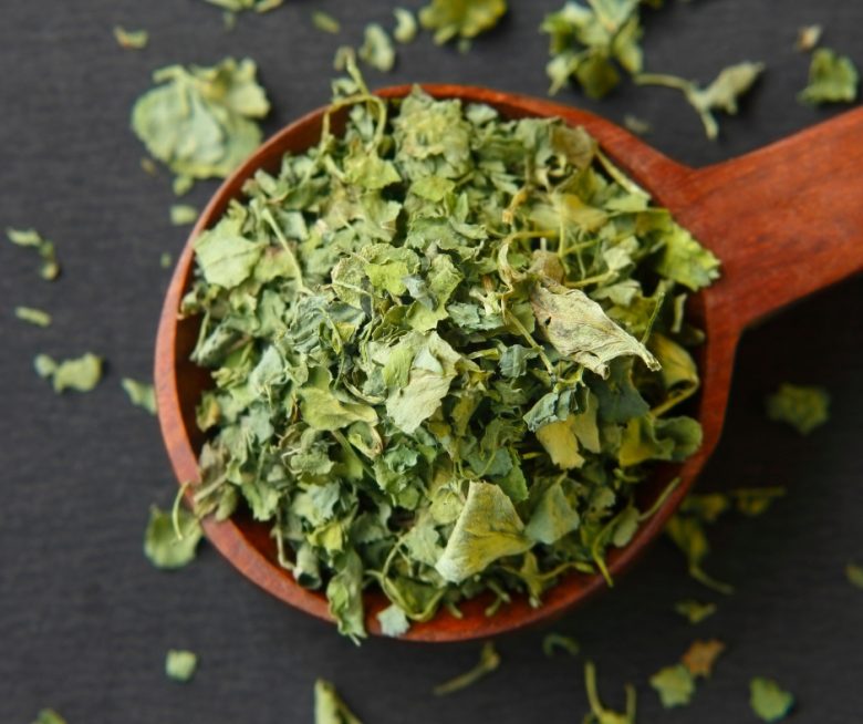 Auf einem Holzlöffel angerichtete, getrocknete grüne Bockshornkleeblätter. Auch bekannt als Kasuri Methi